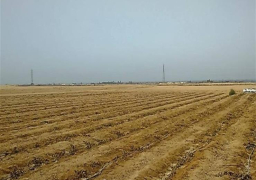 الأحد المقبل .. “الزراعة” تطرح 20 قطعة أرض للبيع بلمزاد العلني في 5 محافظات