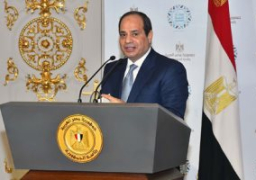 الرئيس عبد الفتاح السيسى يؤكد متابعته باهتمام نتائج اجتماعات مجلس الأعمال التنسيقى السعودى الإماراتى