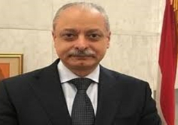 اليابان تعدل ارشادات السفر الى مصر