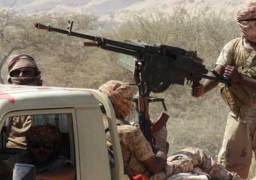المقاومة اليمنية تتصدى لهجوم حوثى بالحديدة علي الساحل الغربي للبلاد.