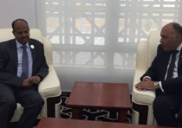 وزير الخارجية يؤكد اهتمام مصر بتعزيز التعاون الاقتصادي مع جيبوتي في مجال الموانئ