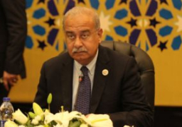 شريف إسماعيل يبحث مع مدير عام شركة فيكا الفرنسية سبل التعاون المشترك