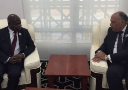 وزير الخارجية يبحث بنواكشوط التعاون الثنائي مع وزير خارجية مالاوي