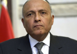 شكري يبحث مع وفد هيئة التفاوض السورية تشكيل لجنة الدستور