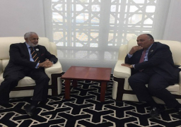 شكري يؤكد أهمية تولى ليبيا مقاليد الأمور دون تدخل خارجي