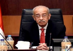 الحكومة تقرر استيراد الكميات اللازمة من الأرز للسوق المحلية بنفس جودة المصري