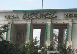معلومات الوزراء ينفي نقل حديقة الحيوان من موقعها الحالي