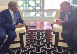 وزير الخارجية يؤكد على دعم مصر لدول منطقة الساحل الخمس