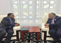 وزير الخارجية يبحث العلاقات الثنائية مع نظيره التنزانى