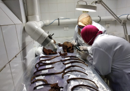 بالصور : الآثار ردا على شائعات تابوت الإسكندرية.. لا يوجد زئبق أحمر وندرس الجماجم