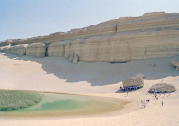 وزارة البيئة تطلق حملة لتطوير محميتي وادي الريان وقارون بالتعاون مع إيطاليا