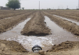 610 ملايين جنيه.. لتحسين شبكات الري خلال عام