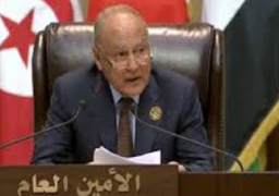 أبو الغيط يطالب بتحقيق دولي في الجرائم الإسرائيلية بحق الشعب الفلسطيني