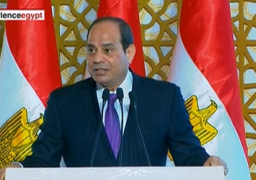 السيسي يفتتح 8 مشروعات بقطاع الكهرباء عبر”الفيديو كونفرانس”
