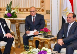 الرئيس السيسى لرئيس الكونجرس اليهودى: ندعم كل الجهود لحل القضية الفلسطينية