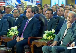 الرئيس السيسي يشيد بجهود شركة “سيمنز” في تطوير شبكات الكهرباء