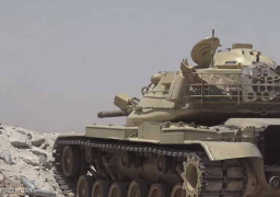 القوات اليمنية المشتركة تمشط جنوب الحديدة.. والحوثي يستدعي فرقا طبية