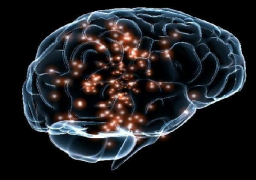 خلايا مخك تقدر تكشف صدق اللى قدامك .. اعرف ازاى