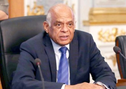 عبدالعال يبحث مع رئيسة برلمان صربيا التعاون المشترك