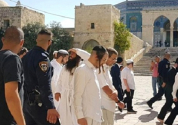 مستوطنون يؤدون صلوات تلمودية بمقبرة باب الرحمة وباحات الأقصى