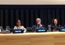 مصر تعرض تقريرا حول “الاستثمار فى التنمية المستدامة” بنيويورك