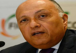 وزير الخارجية يختتم زيارته للنمسا بمباحثات موسعة مع وزيرة الخارجية النمساوية