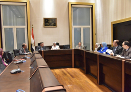 وزيرا الصحة وقطاع الأعمال يبحثا إنهاء مشكلات “القابضة للأدوية”