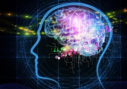 اكتشاف خلية “فريدة” بالمخ تميز الإنسان عن باقي الكائنات