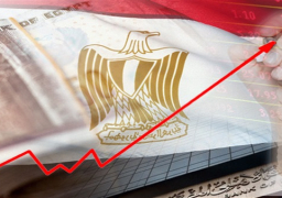 مؤسسات دولية وخبراء : إجراءات البنك المركزى جنبت الاقتصاد المصرى تقلبات الأسواق الناشئة