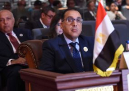 الحكومة تعتمد ضوابط تخصيص أراضى بالمنطقة الصناعية للعلمين الجديدة للمطورين