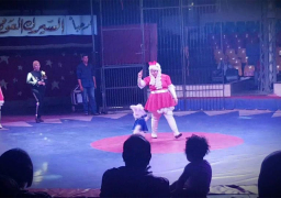 السيرك القومي يقدم عروضه في 3 مواقع مختلفة