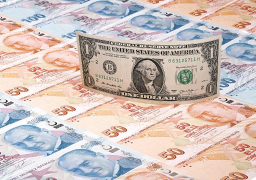 الليرة التركية تواصل الهبوط أمام الدولار