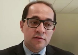 نائب وزير المالية: طرح 4 شركات حكومية بالبورصة فى الربع الأخير من العام