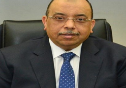 وزير التنمية المحلية: المشروعات الصغيرة هي الركيزة الأساسية للتنمية الاقتصادية في مصر