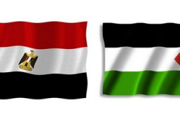 جهود مصرية حثيثة مع الأشقاء الفلسطينيين للوصول إلى تفاهمات إجرائية حول عملية المصالحة