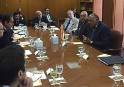 . شكرى يعرب عن تطلع مصر لدعم الولايات المتحدة لتحقيق مزيد من الأمن والاستقرار والتنمية