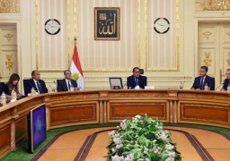 رئيس الوزراء يتابع موقف مشروع المليون ونصف المليون فدان