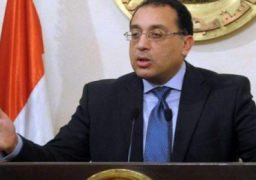 رئيس الوزراء يوجه بالتصدي لمشكلة “النمل الأبيض” بقرى نصر النوبة بأسوان والقرنة بالأقصر