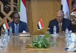 سامح شكرى يؤكد أهمية التنسيق بين مصر والسودان للحفاظ على أمن البلدين