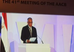 خلال أعمال الاجتماعات السنوية لجمعية البنوك المركزية الإفريقية.. طارق عامر يشيد بقرار الرئيس السيسى الجرىء لحل الأزمات الاقتصادية فى مصر