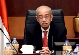 لجنة أراضي الدولة تؤكد سعيها لتسهيل وسرعة إنهاء إجراءات تقنين الأراضي