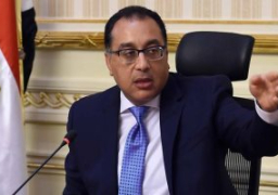 مدبولى يوجه بالتصدي لمشكلة “النمل الأبيض”بالأقصر وأسوان