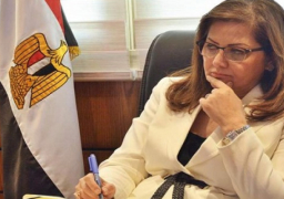 لجنة تضم قانونيين واقتصاديين لإعداد النظام الأساسي لصندوق مصر السيادي