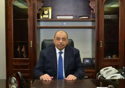وزيرا التنمية المحلية والبيئة يبحثان تطوير منظومة المخلفات والنظافة