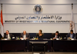 وزيرة الاستثمار تعقد لقاء مع 17 شركة مستثمرة في مصر
