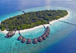 “الجفتون”.. جزيرة السحر والخيال في البحر الأحمر | صور