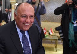 شكري يلتقى المندوب الخاص لرئيس روسيا الاتحادية للشرق الأوسط وإفريقيا