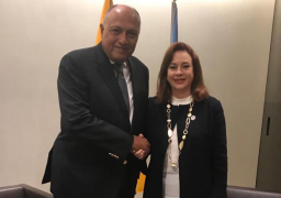 شكري يلتقي في نيويورك بالرئيسة الجديدة للأمم المتحدة