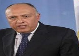 شكري: مشاركتنا في الأمم المتحدة تؤكد إيماننا بنظام دولي أكثر عدلا