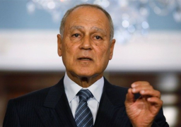 أبو الغيط يطالب ببذل المزيد من الجهد الدولي لعودة الاستقرار إلى سوريا